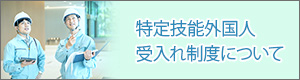 特定技能外国人受入れ制度について